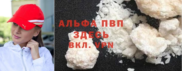 ПСИЛОЦИБИНОВЫЕ ГРИБЫ Осинники
