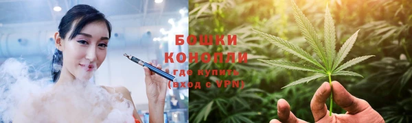 ПСИЛОЦИБИНОВЫЕ ГРИБЫ Осинники