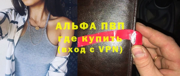 ПСИЛОЦИБИНОВЫЕ ГРИБЫ Осинники