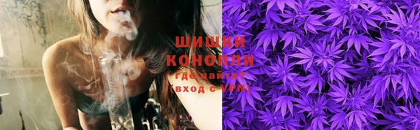 ПСИЛОЦИБИНОВЫЕ ГРИБЫ Осинники