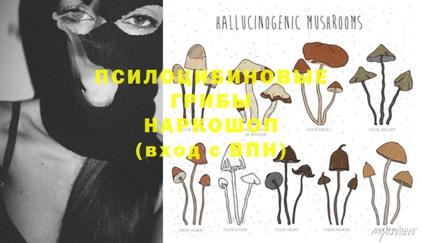 мяу мяу мука Осташков