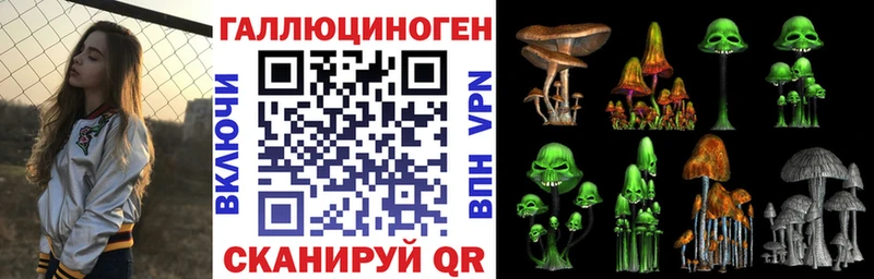 купить   Торжок  KRAKEN tor  Галлюциногенные грибы MAGIC MUSHROOMS 